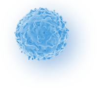 企業(yè)簡(jiǎn)介