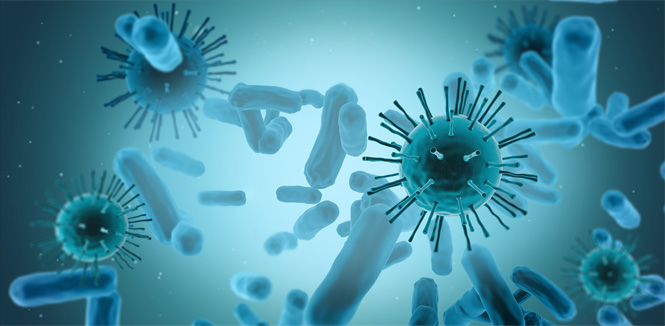 工業(yè)化臨床級的病毒轉基因載體生產(chǎn)平臺